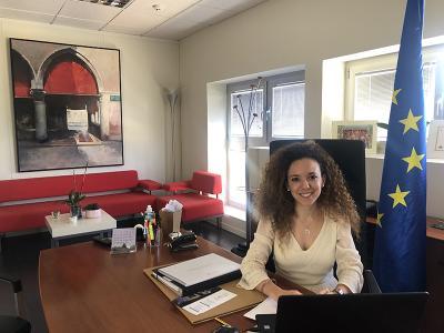 Imagen La Diputación de Segovia resalta, en la reunión del Consejo Político de Partenalia, la importancia de potenciar el papel de las administraciones locales