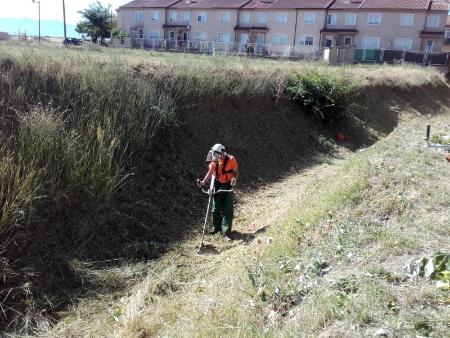 Imagen Las cuadrillas forestales contratadas por la Diputación esperan acondicionar este año unas 200 hectáreas