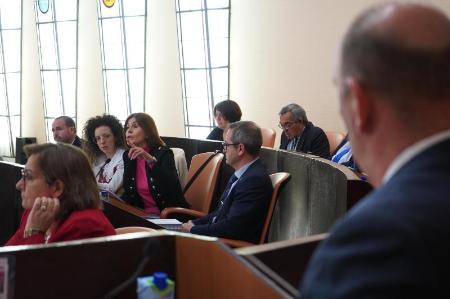 Imagen El Pleno de la Diputación de Segovia ha aprobado por unanimidad el reglamento por el que se regula la prestación de servicios en régimen de teletrabajo